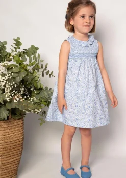 Paris Dress in a blue Almudena print