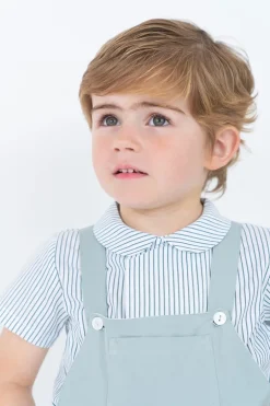 Short sleeves shirt. Green stripes